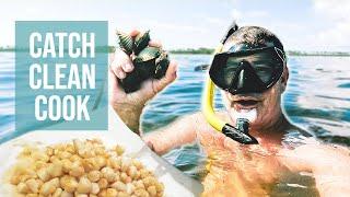 How to Catch Clean & Cook Florida Bay Scallops