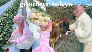 GOODBYE TOKYO VLOG  going strawberry picking to a cow farm and… a host club LMAO 