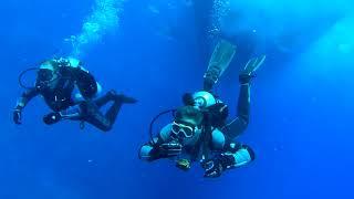 Какие опасности ждут дайверов на поверхности. Dangers awaiting divers on the surface of the water.