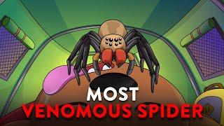  What If You Were Bitten By The Most Venomous Spider?  Funny Educational Cartoons 