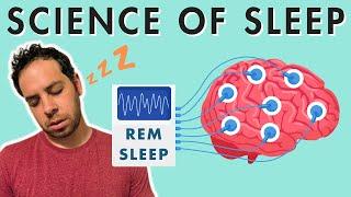 Sleep Stages Sleep Cycle and the Biology of Sleep