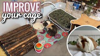 Ways To Improve Your Guinea Pigs’ Cage