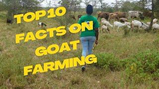 How to start Goat Farming with Limited resources How to start a Goat Farm  Goat Farming in Kenya