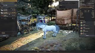 BDO Dream Horse Awakening P.2