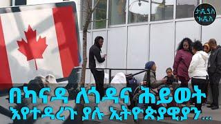 በካናዳ ለጎዳና ሕይወት እየተዳረጉ ያሉ ኢትዮጵያዊያን...  Tadias Addis