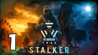 True Stalker прохождение  1 серия
