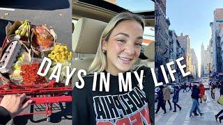 VLOG getting lip filler trader joes haul + last minute NYC trip 