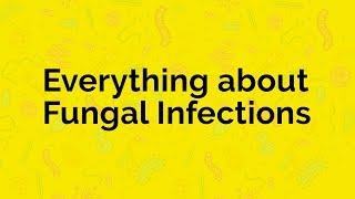 Everything About Fungal Infections on Skin  Skin Diaries