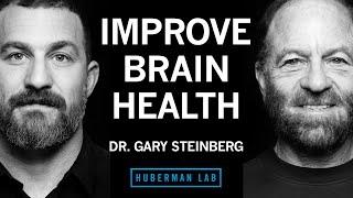 Dr. Gary Steinberg How to Improve Brain Health & Offset Neurodegeneration