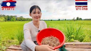 สาวลาวมาอยู่ไทยไม่คิดว่าจะหากินนานขนาดนี้ สดๆเลยจ้า