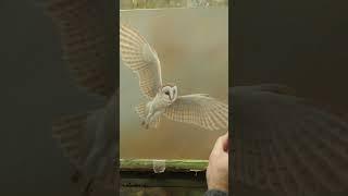 Adding detail to a painting of a barn owl 