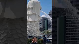 clips of our singapore trip