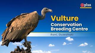 Vulture Conservation Breeding Centre Rani  Discover Guwahati  G Plus