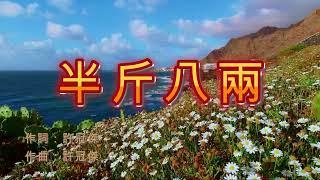 許冠傑 - 半斤八兩 永恆金曲卡拉OK Karaoke Hit