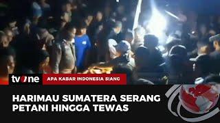 Sempat Dilaporkan Hilang Seorang Petani di Lampung Ditemukan Tewas Mengenaskan Diterkam Harimau