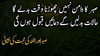 Jab Sabr Na Aye Aur Himmat Khatam Hone Lage  Quotes About Sabr And ALLAH