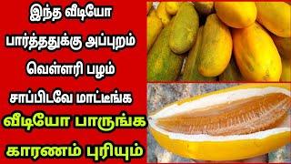 சீசன் முடியறதுக்குள்ள இந்த வீடியோ பாருங்க வருத்தப்படுவீங்கvellari palam juicetipsFathus Samayal