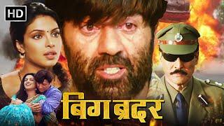 सनी देओल की खतरनाक ललकार - SUNNY DEOL BOLLYWOOD BLOCKBUSTER ACTION MOVIE - BIG BROTHER