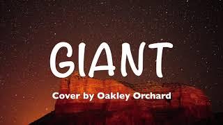 Calvin Harris RagnBone Man - Giant Lyrics Cover by Oakley Orchard