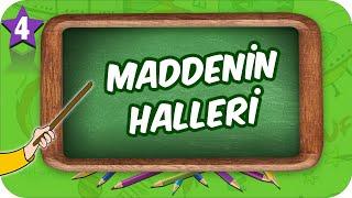 4. Sınıf Fen Maddenin Halleri #2022