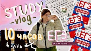 *STUDY vlog* 40 дней до ЕГЭ...  как все успевать? ‧₊˚⊹