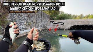 ADA RUMPON POTENSI SARANG BABON BABON Mancing wader teknik kumbul di sungai pedesaan