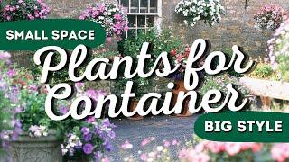 Small Space Big Style The 7 Best Container Garden Flowers 