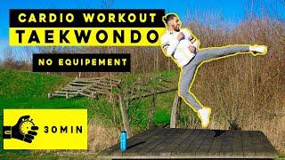 30 minutes Taekwondo CARDIO Workout No Equipement