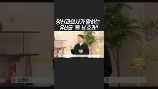 정신과의사가 말하는 유산균  뇌 효과