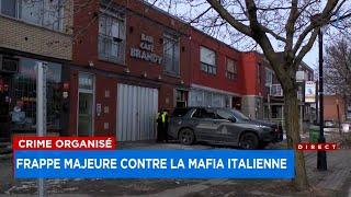 Opération majeure contre la mafia italienne à Montréal 400 policiers déployés - reportage