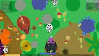 Thanksgiving update farming rare giraffes.  Fake Sun kills everyone.  Mope.io