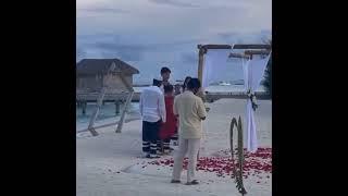 Свадьба Ольги Бузовой и Давида Манукяна на Мальдивах