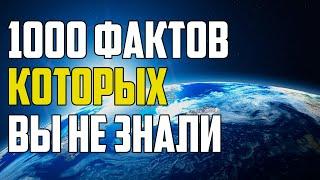 1000 НЕВЕРОЯТНЫХ ФАКТОВ КОТОРЫЕ ВЫ НЕ ЗНАЛИ