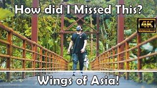 How did I missed this? - Wings of Asia