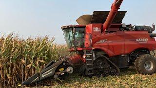 A Farmer Harvesting 300 Bushel Corn With a Case IH 9250 and a Grain Handling System Tour S2 E24