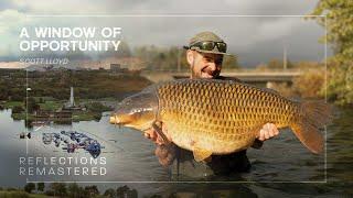 Reflections Remastered  A Window of Opportunity  Scott Lloyd  A Carp Fishing Documentary