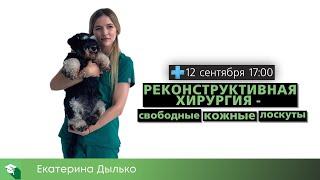 Реконструктивная хирургия - свободные кожные лоскуты