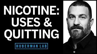 Nicotine’s Effects on the Brain & Body & How to Quit Smoking or Vaping  Huberman Lab Podcast #90