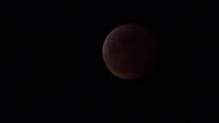 red moon 1-21-2019
