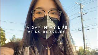 美國柏克萊留學生活vlog   去鼎鼎大名的Haas商學院上課  Berkeley time是什麼？ 跟未來同事聚餐｜A Day in My Life at UC Berkeley