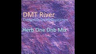 DJ Herb One   DMT River DnB
