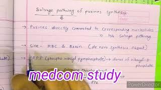 Salvage pathway of purine nucleotide synthesis