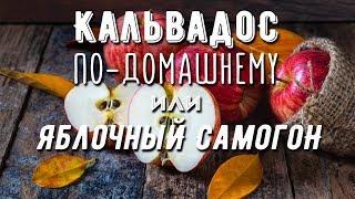 Кальвадос В квартирных условиях Это реально Очень вкусный яблочный самогон