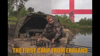 The first carp from England