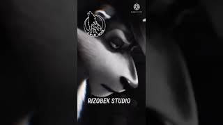 BORILAR UDAR VIDEO#RIZOBEKSTUDIO