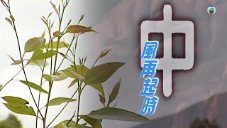 TVB 新聞掏寶｜中風再起時 繁  簡字幕｜香港歷史片段｜無綫新聞 TVB News