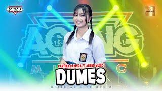 Cantika Davinca ft Ageng Music - Dumes Official Live Music