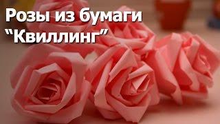 Розы из бумаги - Квиллинг