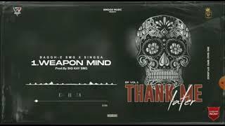 WEAPON MINDThank Me Later BAGGH-E X Singga Big KAYSMG Latest Punjabi Song 2021