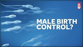 Why Isnt there a Birth Control Pill for Males?